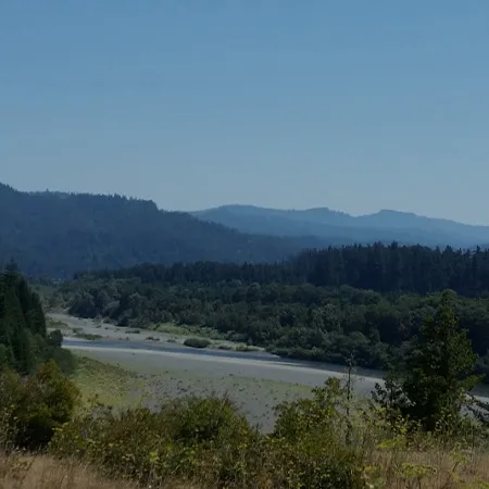 Transform Your Online Presence with Tailored Website Designs!