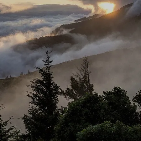 With Over 25 Years of Expertise, Brymels LLC Delivers Tailored Website Solutions.