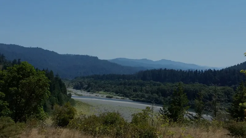 Transform Your Online Presence with Tailored Website Designs!