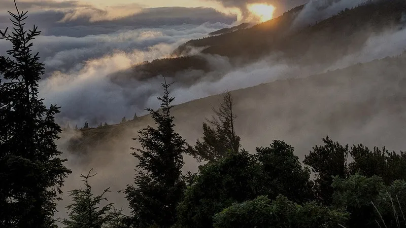 With Over 25 Years of Expertise, Brymels LLC Delivers Tailored Website Solutions.